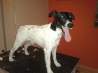 /album/fenykepgaleria/a2013-09-17-12-00-39-jpg1/